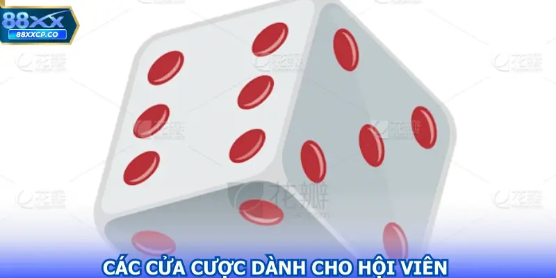 Các cửa cược dành cho hội viên khi tham gia