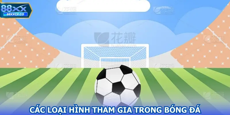 Các loại hình tham gia trong bóng đá phổ biến nhất