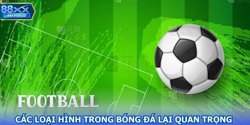 Tại sao các loại hình trong bóng đá lại quan trọng như vậy?
