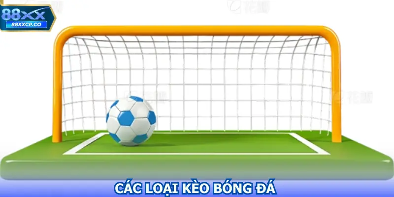 Các Loại Kèo Bóng Đá Hàng Đầu Dành Mọi Người Lựa Chọn 