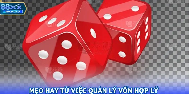 Mẹo hay từ việc quản lý vốn hợp lý tham gia